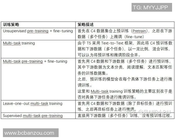 武汉羽毛球队耐力对比深度解析及训练策略探讨 武汉羽毛球队耐力对比深度解析及训练策略探讨