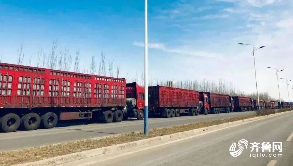 半岛电子科技服从提拔超40%！山东能源新矿团体研发“汽车智能列队叫号办理体系”保(图5)